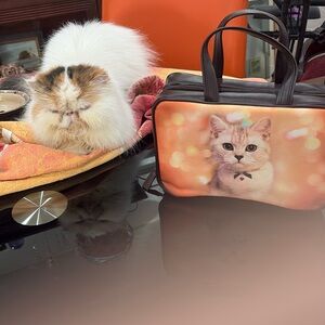 Toiletry and Makeup Bag